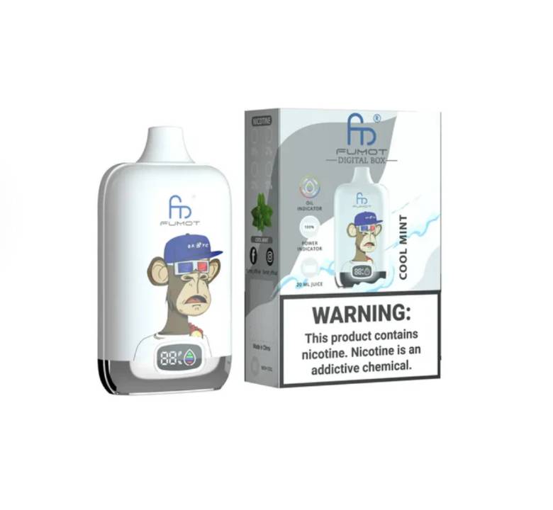 Randm Digital Box 12000 Cool Mint 🧊🍃