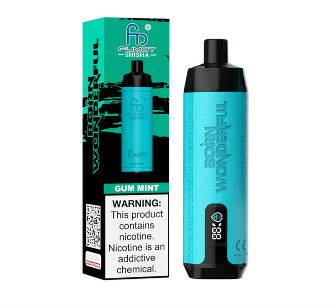 Randm Shisha Vape 10000 Gum Mint 🍬🌿