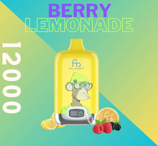 Randm Digital Box 12000 Berry Lemonade 🫐🍋