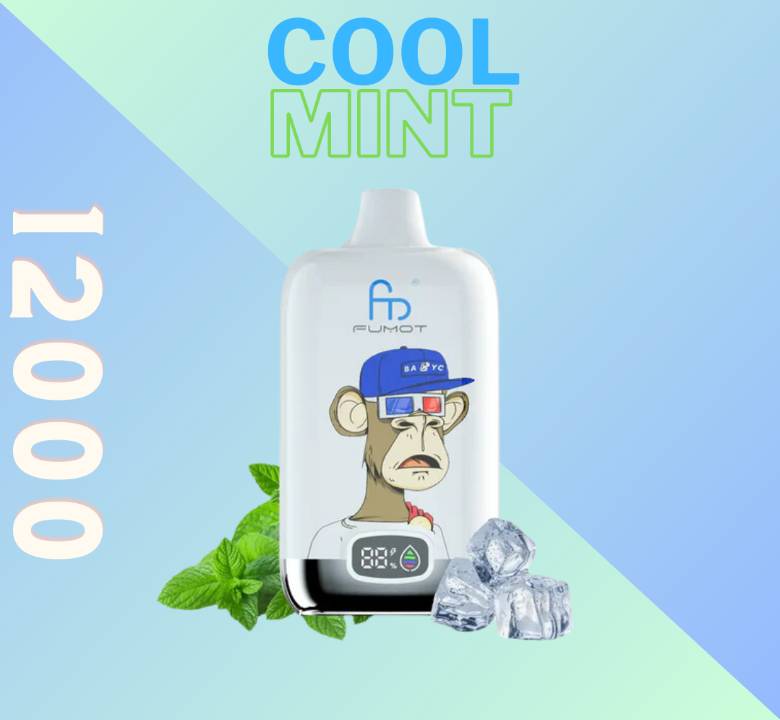 Randm Digital Box 12000 Cool Mint 🧊🍃