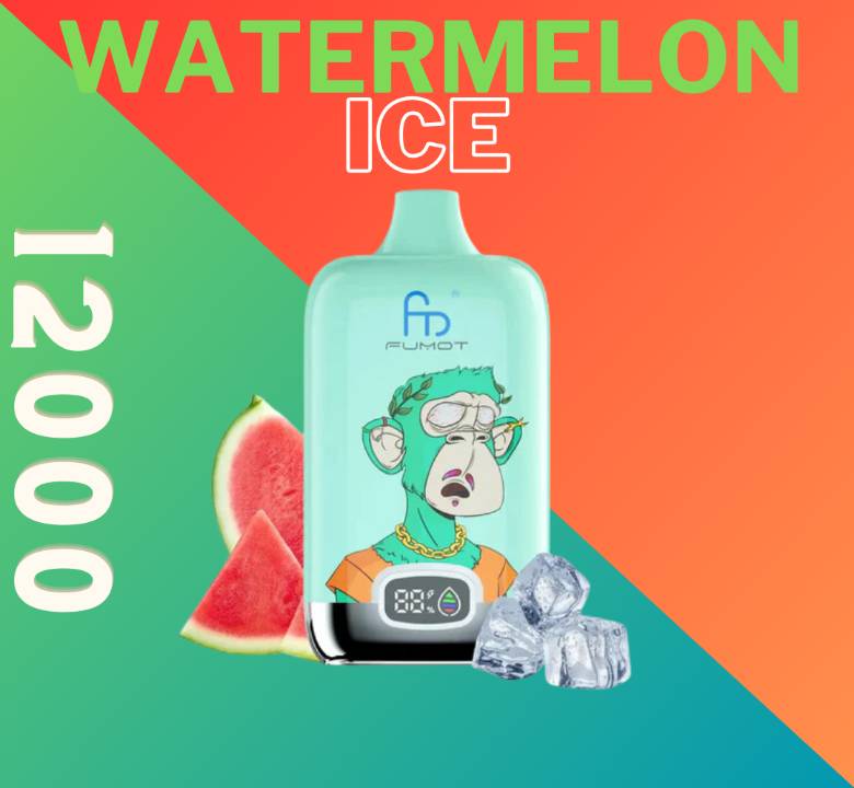 Randm Digital Box 12000 Watermelon Ice 🍉🧊