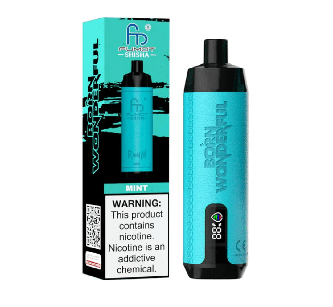 Randm Shisha Vape 10000 Mint 🍃