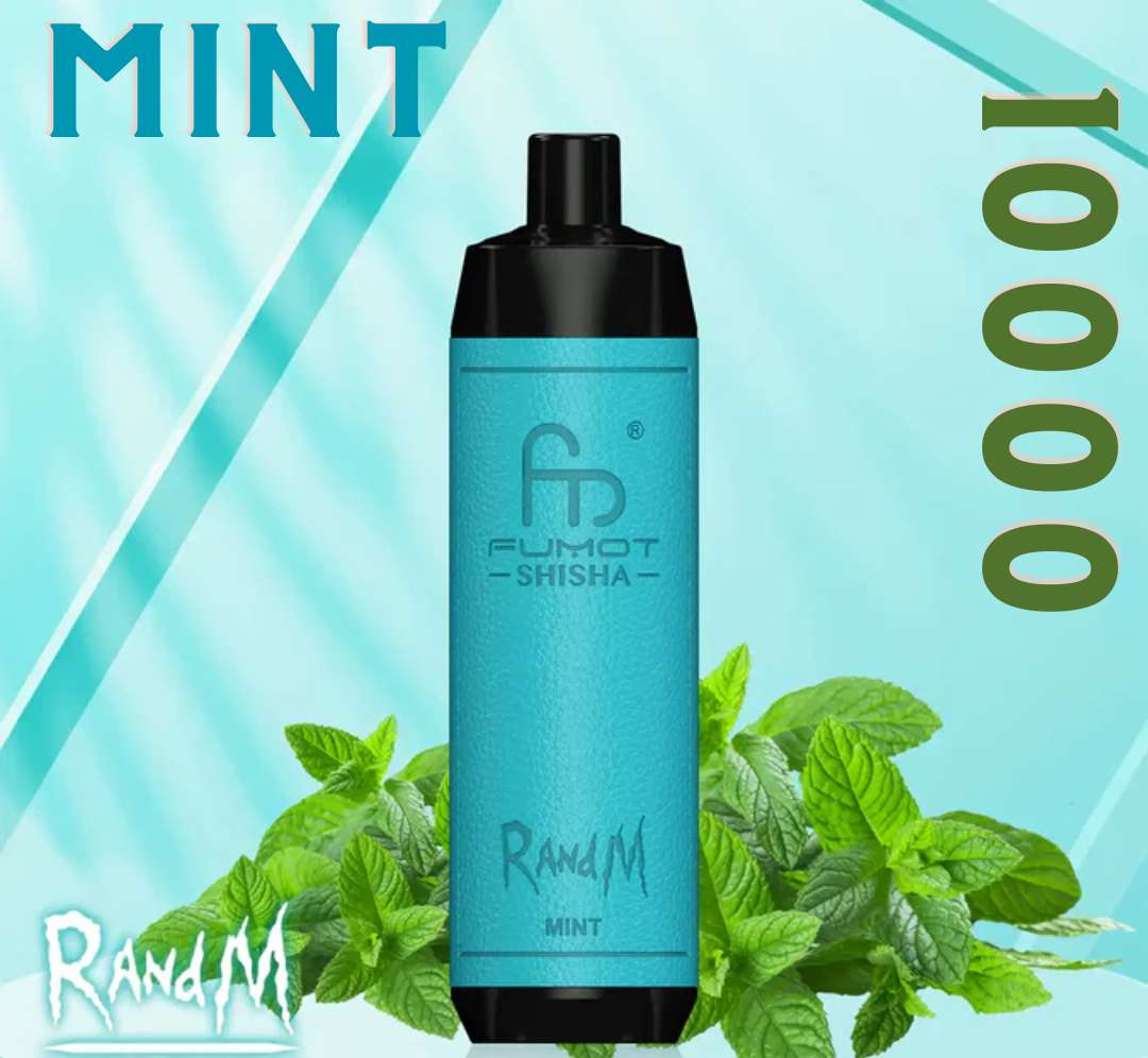 Randm Shisha Vape 10000 Mint 🍃